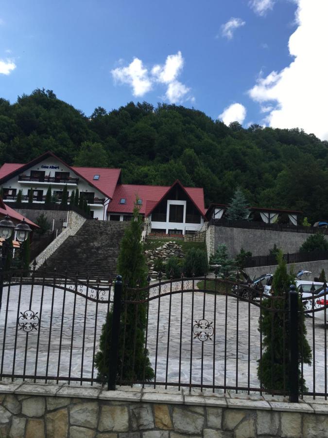 Casa Albert Otel Lepşa Dış mekan fotoğraf